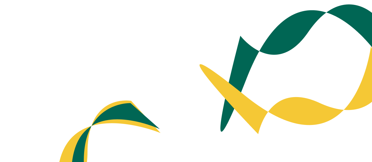 Expert Solutions for Corporate  Financial Success. - 雷速体育直播